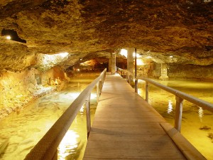 acuarium aquarium es cap blanc cova de ses llagostes sant antoni san antonio ibiza eivissa
