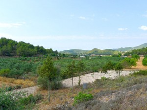 valle de benimussa sant josep san jose ibiza eivissa