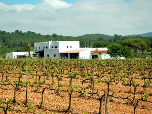 bodega viñedos vino can rich sant antoni sant antonio buscastell ibiza eivissa