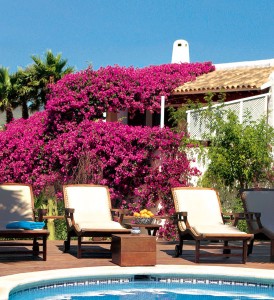 hotel casa munich ibiza