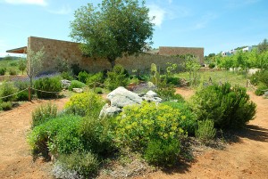 centro de interpretacion de es amunts sant llorenç san lorenzo ibiza eivissa
