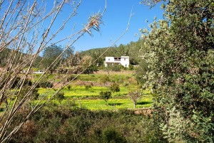 es broll de buscastell sant antoni san antonio ibiza eivissa