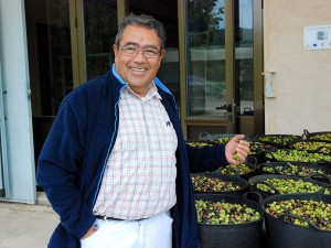 aceite de oliva virgen extra almazara finca joan benet sant josep san jose benimussa ibiza eivissa
