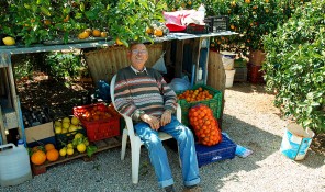 plantacion mariano fluxa citricos naranjas y limones frutas carretera de sant joan san juan ibiza eivissa