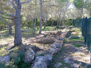 sa penya esbarrada santa agnes santa ines pla de corona llano Ibiza eivissa