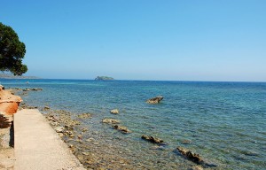 sargamassa playa santa eularia eulalia ibiza eivissa