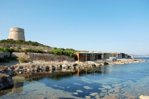 cala playa sa sal rossa parque natural ses salines ibiza eivissa