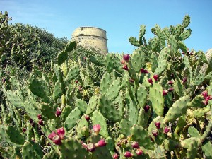 torre des carregador sa sal rossa parque natural ses salines sant josep san jose ibiza eivissa