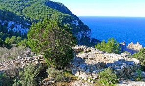 Ses Torres d’en Lluc