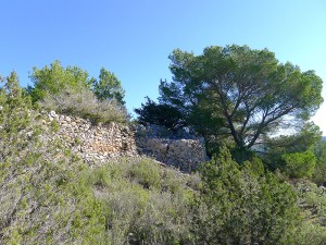 ses torres den lluc sant mateu santa agnes san mateo santa ines ibiza eivissa arqueologia
