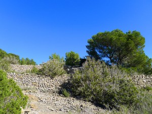 ses torres den lluc sant mateu santa agnes san mateo santa ines ibiza eivissa arqueologia